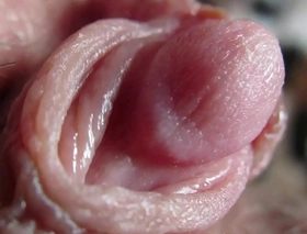 Conceitedly Clitoris close-up